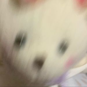 Meet your Posher, Fernanda